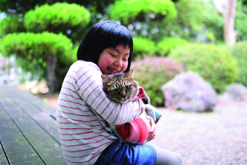 保護猫シェルター立ち上げた小学生の素敵なエッセイ『猫庭ものがたり』刊行