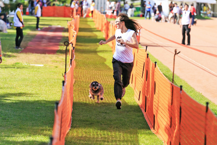 愛犬と熱気球体験も！「第五回アウトドアドッグフェスタin八ヶ岳」9月21日・22日開催