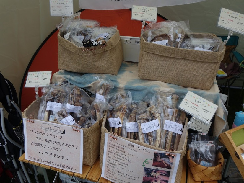 「アウトドアドッグフェスタin八ケ岳2019」参加レポート