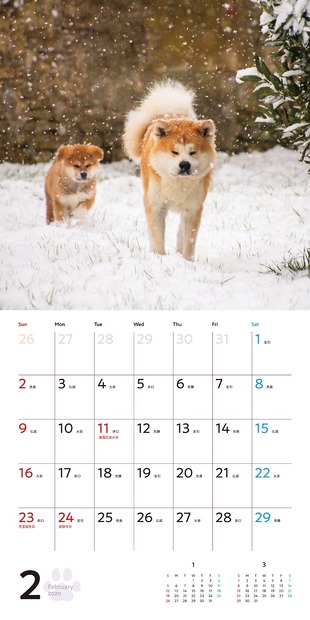 貴重な秋田犬の赤ちゃん写真も！「秋田犬のおやこ」写真展が開催