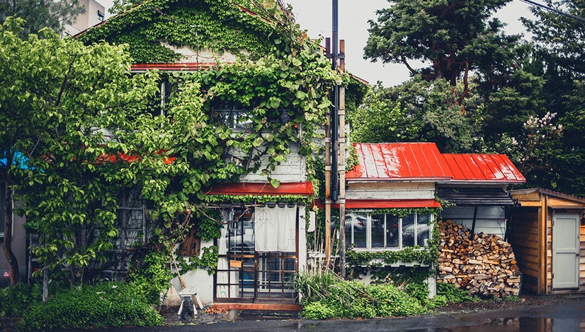 北海道発　森彦のコーヒーに癒やされてきた