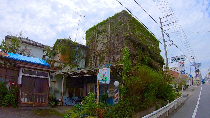 （C）フジテレビ