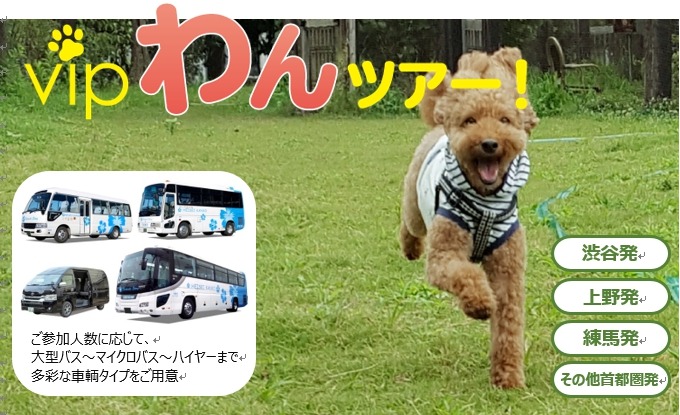 専用シートカバーやシートベルトも......愛犬参加型バスツアー「vipわんツアー」登場