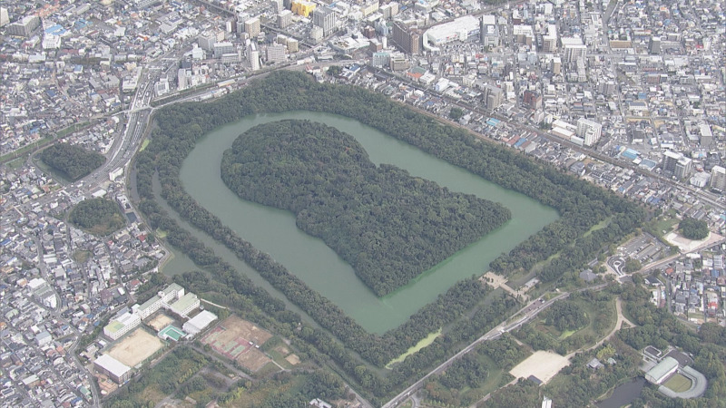 （C)TBS
