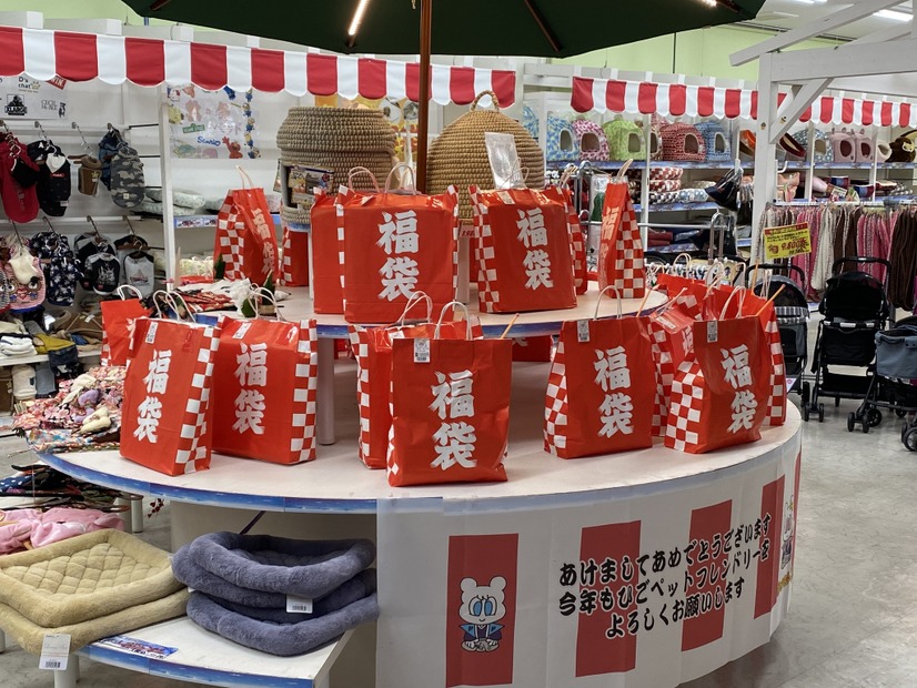 たった“千円”のペット用福袋を購入！中身は一体何が入ってた？