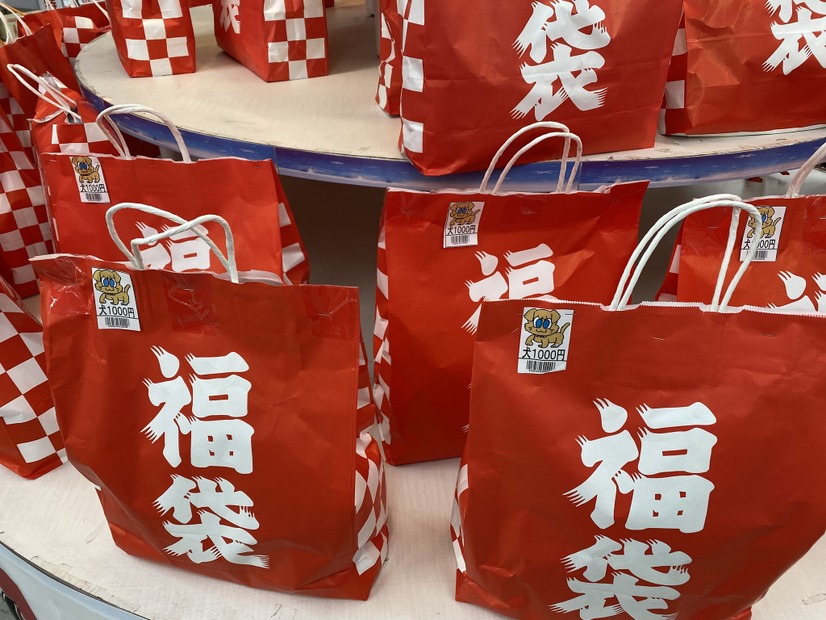 たった“千円”のペット用福袋を購入！中身は一体何が入ってた？