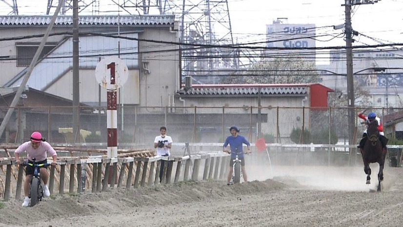 （C）TBS