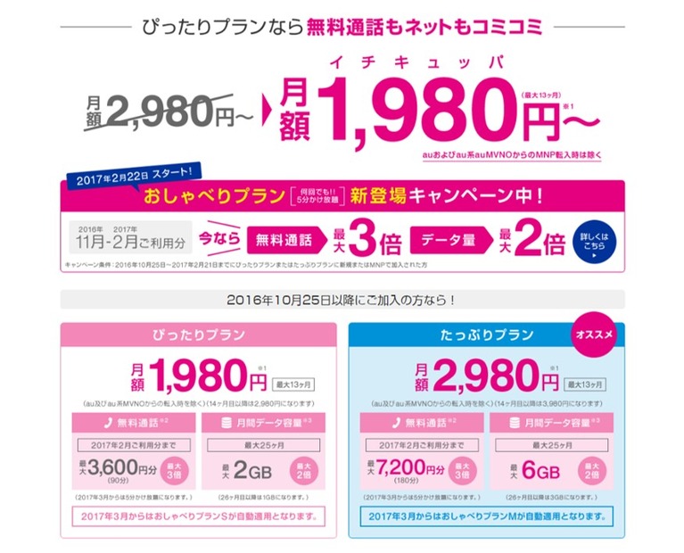 「ぴったりプラン」「たっぷりプラン」、高速データ通信も無料通話もついた2プランが人気