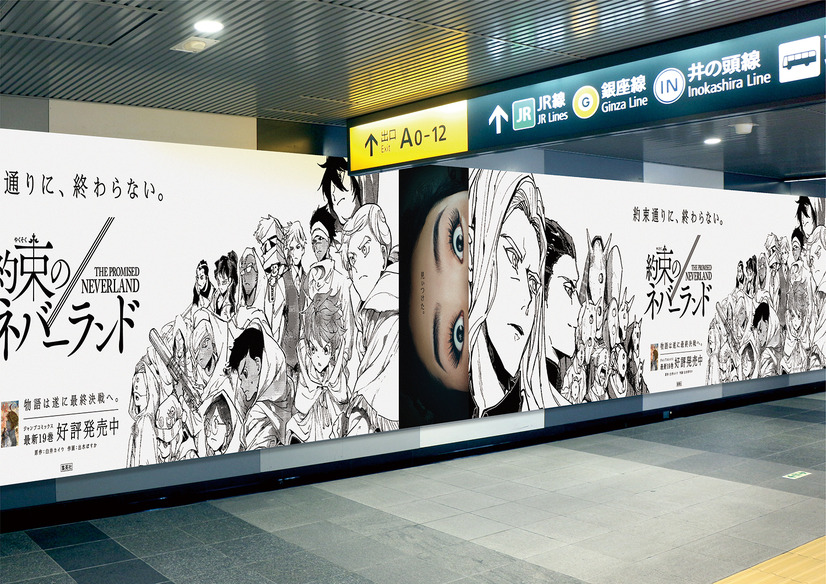 （C）白井カイウ・出水ぽすか／集英社