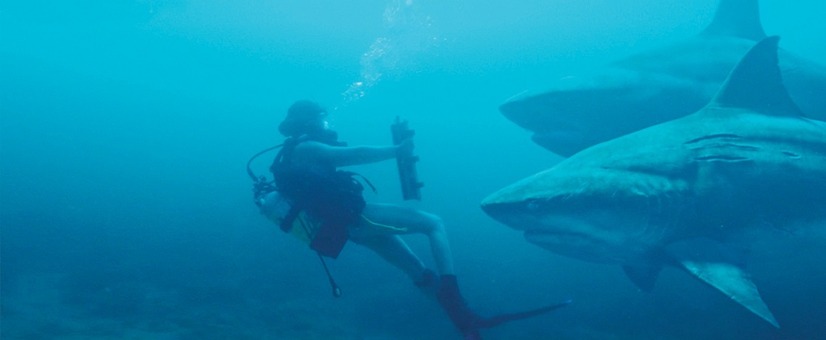 Deep Blue Sea 3 (c) 2020 Warner Bros. Entertainment Inc. All rightsreserved.