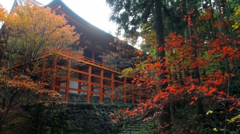 『世界遺産』（C）TBS