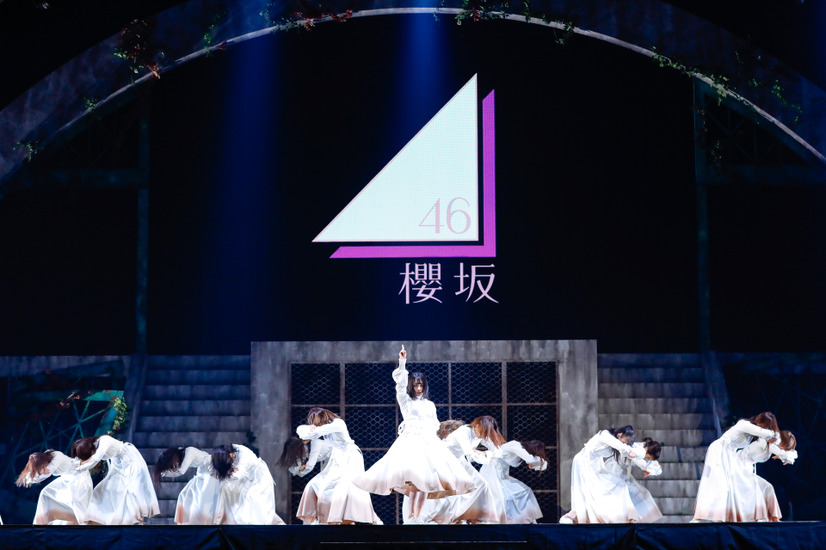 撮影：上山陽介