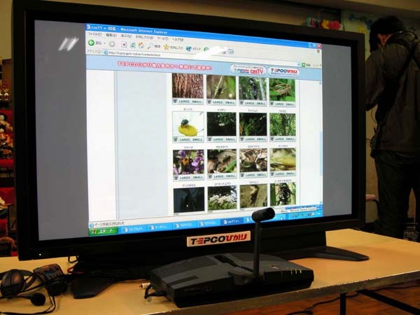 同園では、TEPCOひかりコンテンツサイト「casTY」のエディテイメント・コンテンツも活用している。写真は動画が見られる図鑑「eZUKAN」