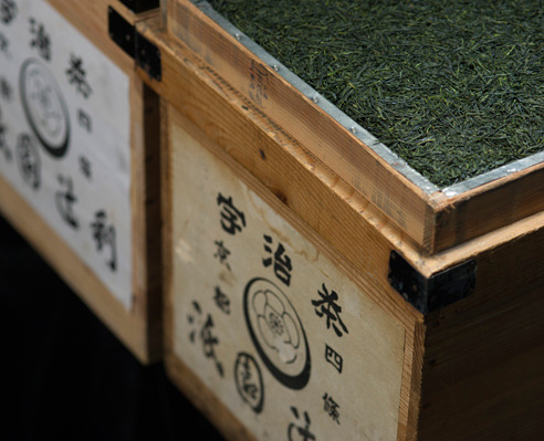 抹茶ショコラノエル
