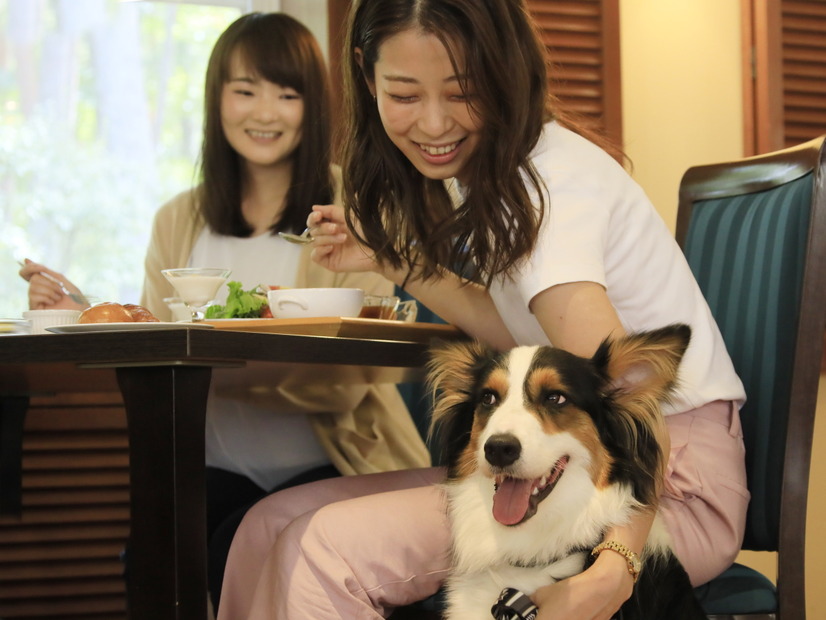 ゆとりろ蓼科ホテルwith DOGS