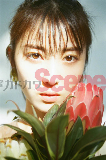 「別冊カドカワScene 04」限定特典・ポストカードの絵柄
