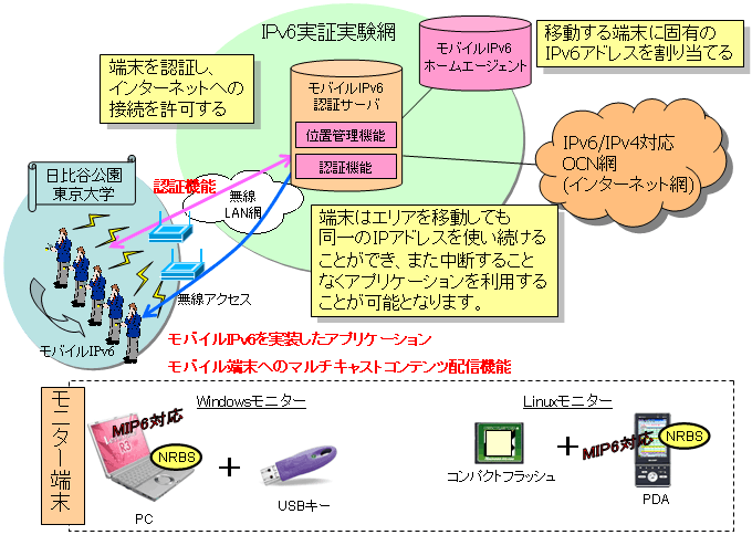 実験の概要図