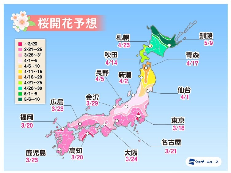 桜開花トップは東京で3月18日予想！全国的に平年より早い傾向......ウェザーニューズ「第二回桜開花予想」