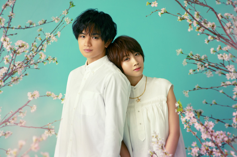 セクゾ中島健人＆松本穂香共演の恋愛映画『桜のような僕の恋人』制作決定！Netflixで2022年配信