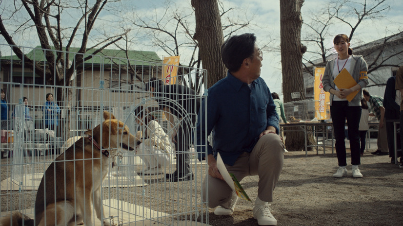 綾瀬はるか、犬の譲渡会のボランティア役……ユニクロ新CM25日から