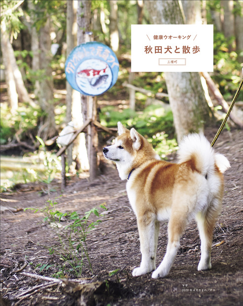 秋田犬の魅力が詰まったムック本『秋田犬と。』30日発売！会える宿も紹介