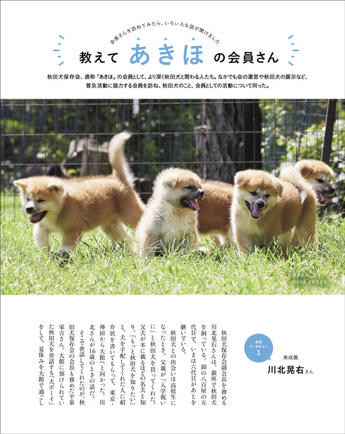 秋田犬の魅力が詰まったムック本『秋田犬と。』30日発売！会える宿も紹介