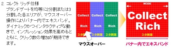 「コレクト リッチ仕様」の概要