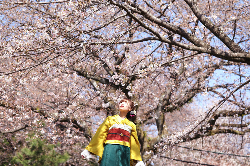 Singing Cosplayer Hikari