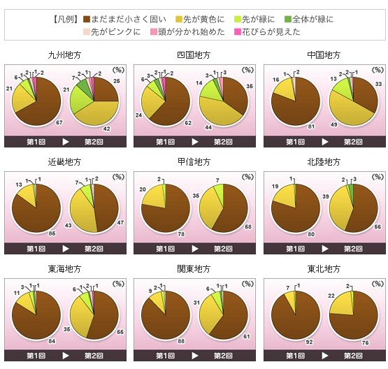 つぼみ調査による全国の桜の生長状況