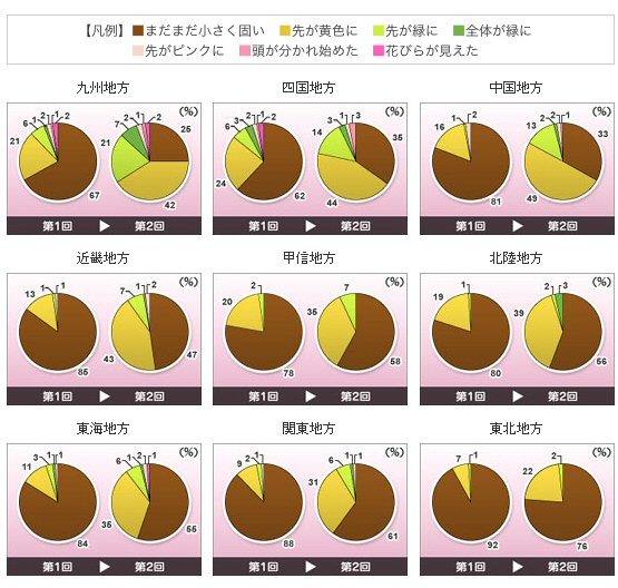 つぼみ調査による全国の桜の生長状況