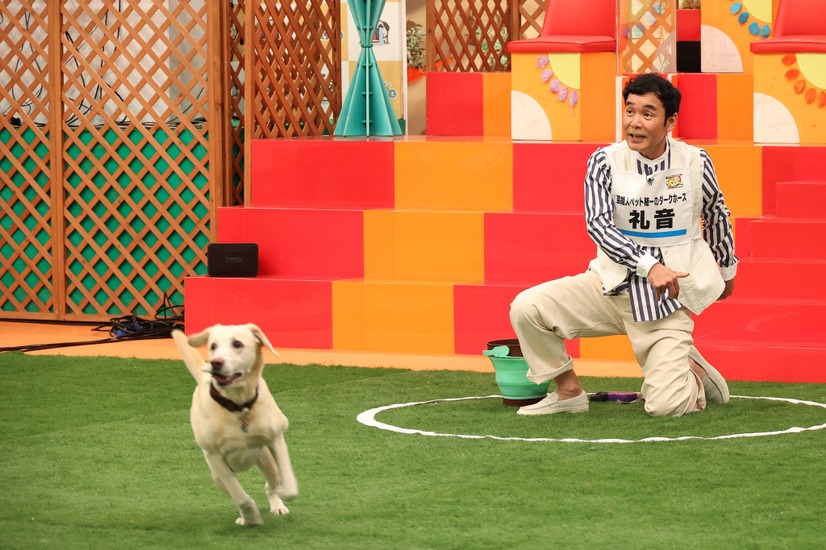 肥後克広（ダチョウ倶楽部）と愛犬・礼音（c）フジテレビ