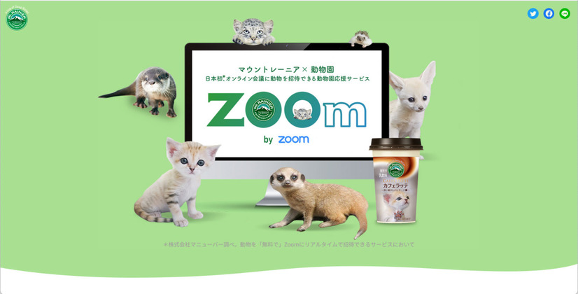 ホワイトライオンのライブ映像をWeb会議に“招待”！テレワークに癒し＆動物園応援企画