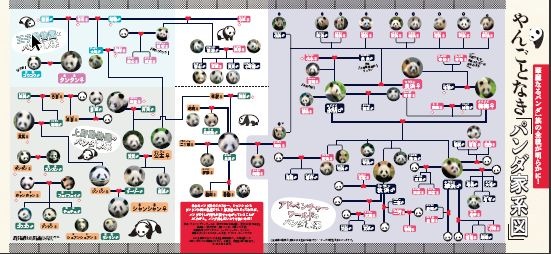 『パンダ自身 ２頭め』（光文社）