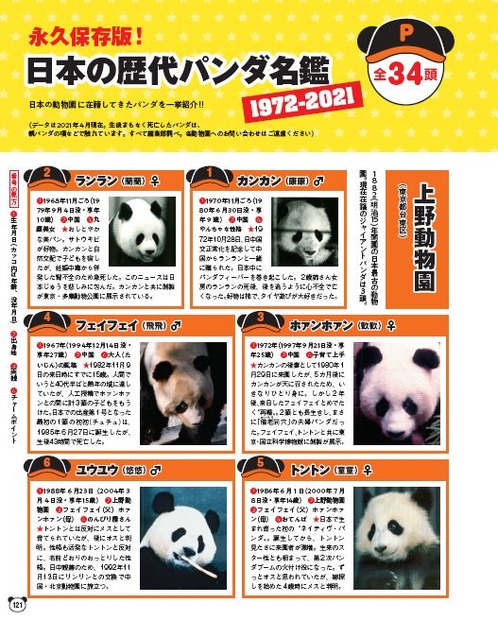 『パンダ自身 ２頭め』（光文社）