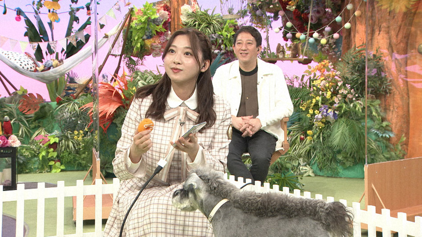 （C）NHK