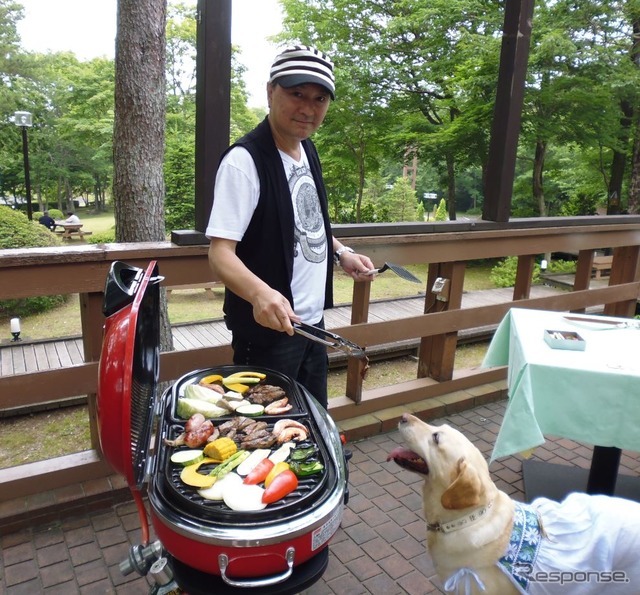 夏の愛犬とのドライブ旅行で気になる害虫対策