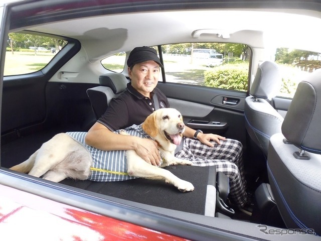 夏の愛犬とのドライブ旅行で気になる害虫対策