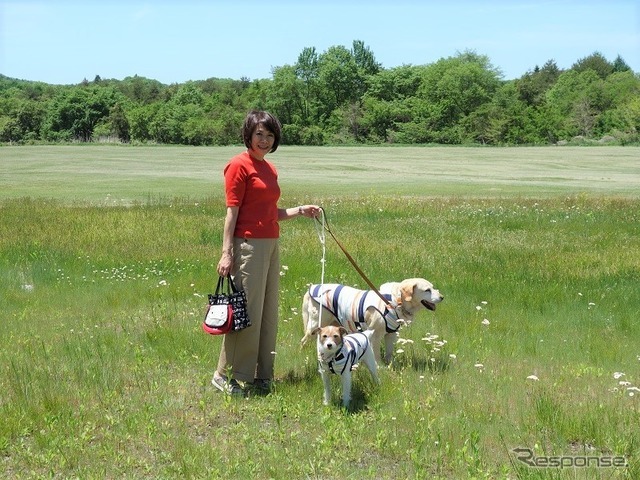 夏の愛犬とのドライブ旅行で気になる害虫対策