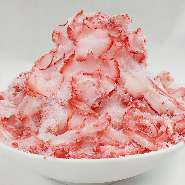 「ご当地かき氷」が大集合！“天然氷”や“50年前のレシピ”などレアなかき氷を実食！
