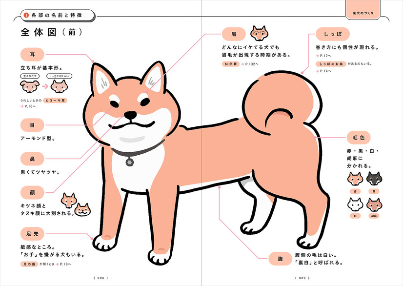 『柴犬のトリセツ』（西東社）