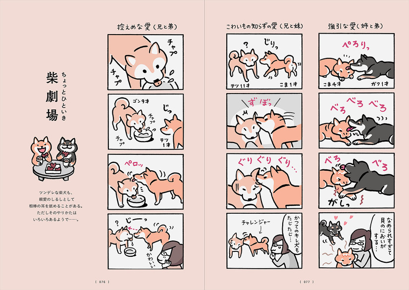 『柴犬のトリセツ』（西東社）