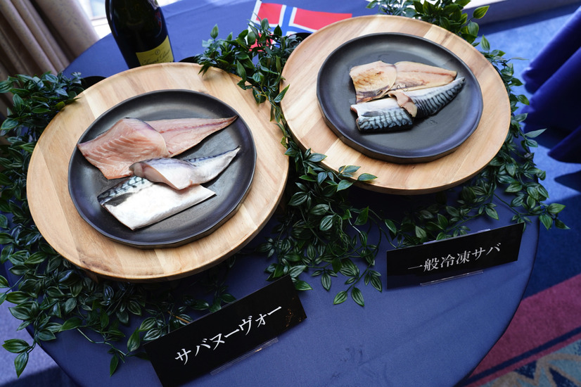 ノルウェー産天然生サバ「サバヌーヴォー」日本初上陸