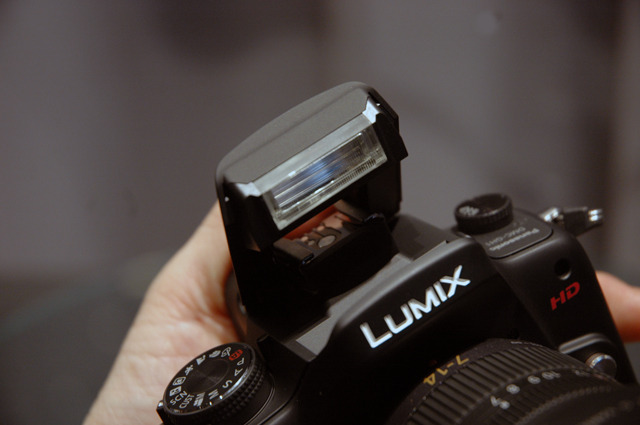 LUMIX GH1