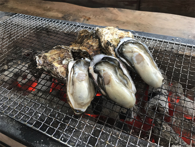全国から旬の新鮮な魚介が集結！「ジャパン フィッシャーマンズ フェスティバル2021」