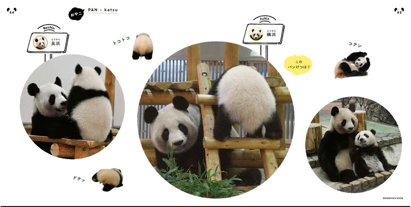 （c）主婦の友社