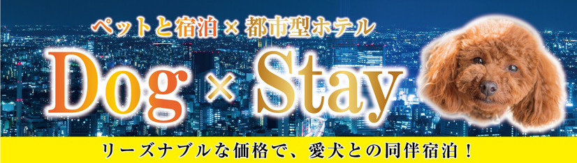 ビジネスホテルで愛犬と一緒に宿泊できるリーズナブルなプランが登場！