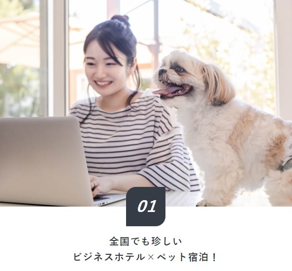 ビジネスホテルで愛犬と一緒に宿泊できるリーズナブルなプランが登場！