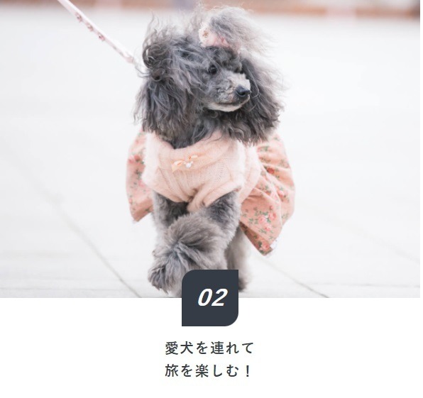 ビジネスホテルで愛犬と一緒に宿泊できるリーズナブルなプランが登場！