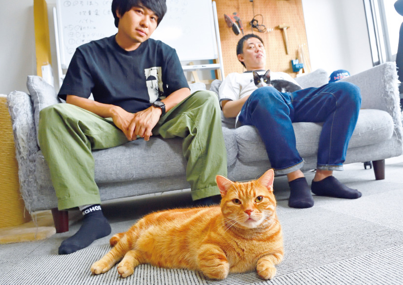 「さらば青春の光」事務所の名物猫が初写真集！「おっさん2人より、猫なら売れるんじゃない」