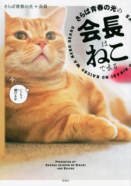 「さらば青春の光」事務所の名物猫が初写真集！「おっさん2人より、猫なら売れるんじゃない」